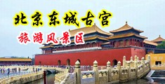 日韩鸡巴操穴子视频中国北京-东城古宫旅游风景区